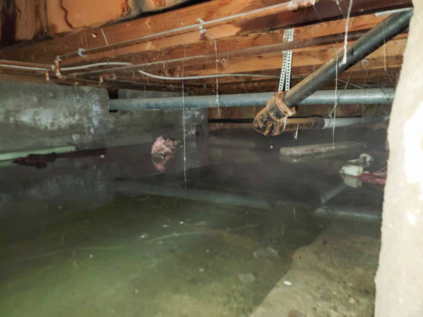 Best Fire Damage Restoration  in Bentonville, AR