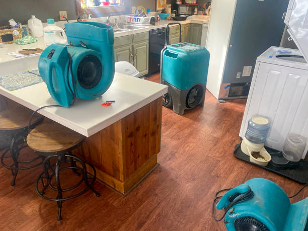Best Water damage contractors near me  in Bentonville, AR