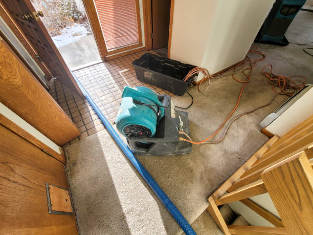 Best Sewage cleanup and water damage restoration  in Bentonville, AR