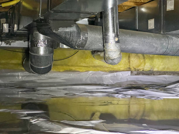 Best Basement water damage restoration  in Bentonville, AR